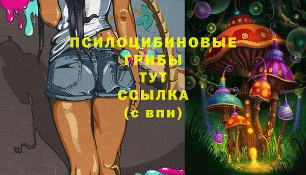 ECSTASY Абаза